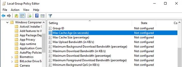 Bagaimana untuk mengoptimumkan cache Pengoptimuman Penghantaran dalam Windows 10