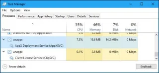 Quelques éléments sur Wsappx sous Windows