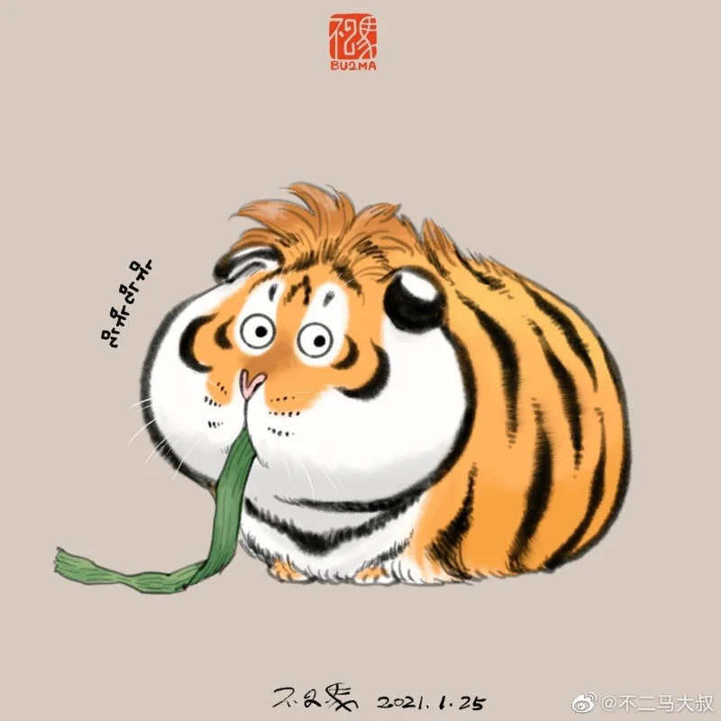 Sfondi di tigre grassa, foto carine di tigre grassa