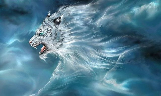 Kertas dinding harimau yang sangat cantik untuk komputer, kertas dinding harimau untuk komputer riba