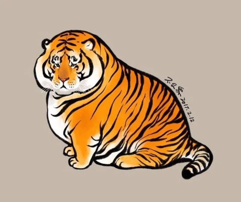 Sfondi di tigre grassa, foto carine di tigre grassa