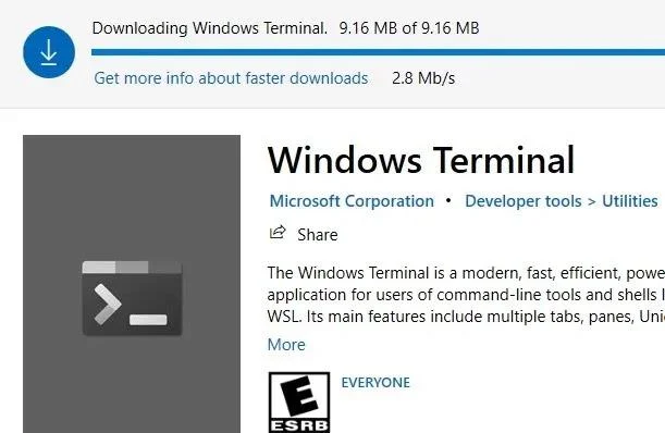 Windows Terminalini Windows 10'a kurmanın 3 yolu