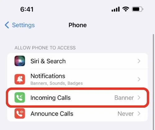 Bagaimana untuk mendayakan mod skrin penuh untuk setiap panggilan masuk pada iPhone dan iPad
