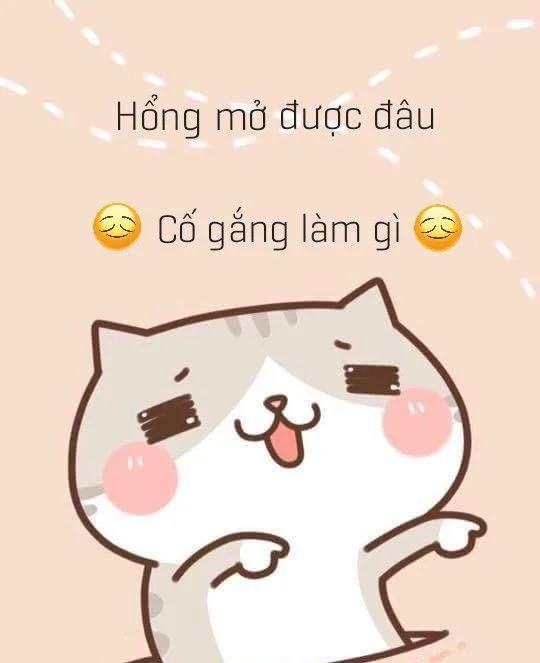 Dia meletakkan telefon saya, dia meletakkan telefon saya