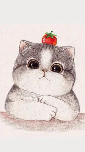 Koleksi 70 kertas dinding kucing comel untuk telefon anda