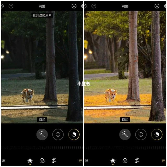 Formula penyuntingan foto yang hebat pada iPhone