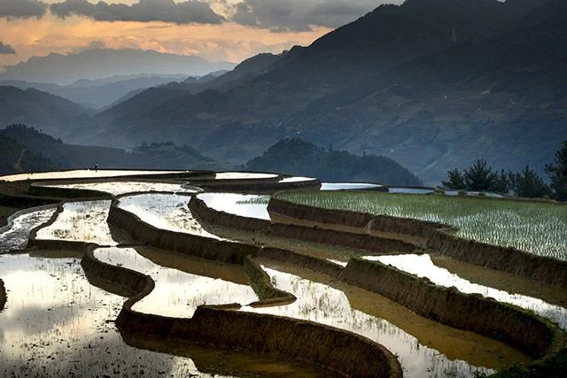 Kertas dinding padang teres yang cantik untuk komputer