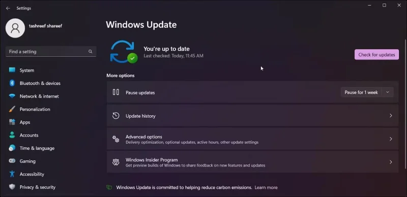 Windows 11'de ms-resource:Uygulama adı/Metin hatası nasıl düzeltilir