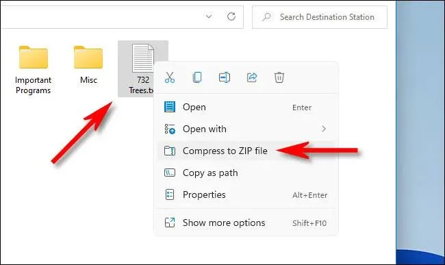 Instructies voor het comprimeren en decomprimeren van bestanden op Windows 11