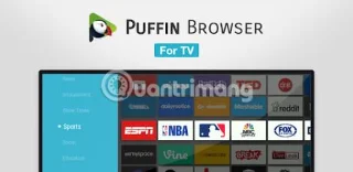 Android TV に最適なブラウザ