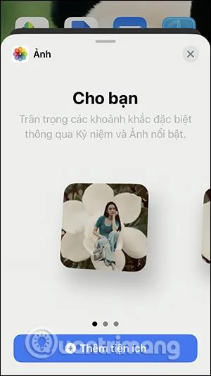 Bagaimana untuk menyusun widget pada iPhone untuk memampatkan skrin
