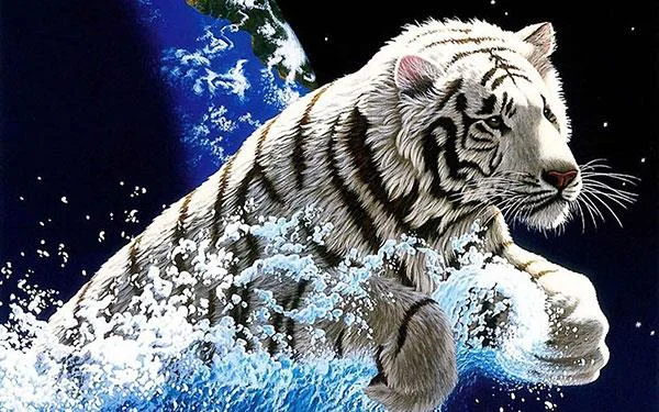 Kertas dinding harimau yang sangat cantik untuk komputer, kertas dinding harimau untuk komputer riba
