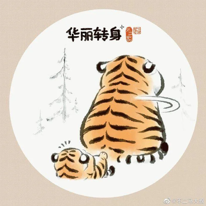 Sfondi di tigre grassa, foto carine di tigre grassa