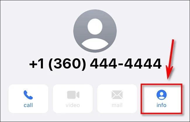 Bagaimana untuk menyembunyikan mesej spam daripada orang yang tidak dikenali pada iPhone