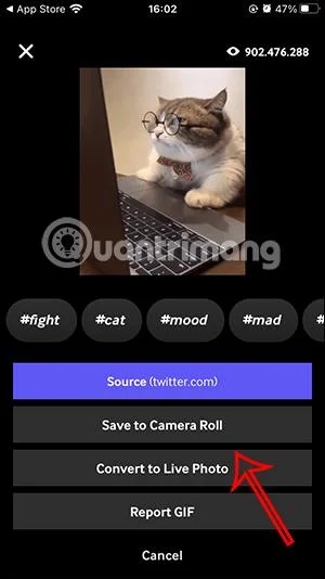 Bagaimana untuk menukar GIF menjadi pelekat pada iPhone