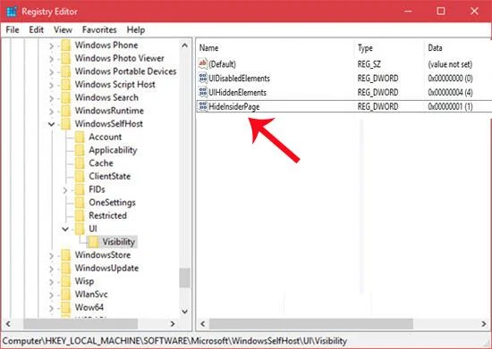 Windows Insider Programı Windows 10 nasıl kaldırılır