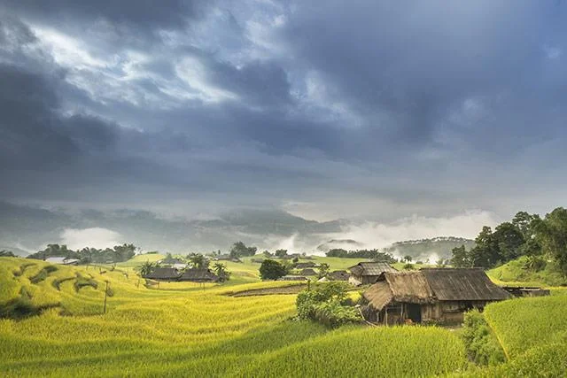 Kertas dinding padang teres yang cantik untuk komputer