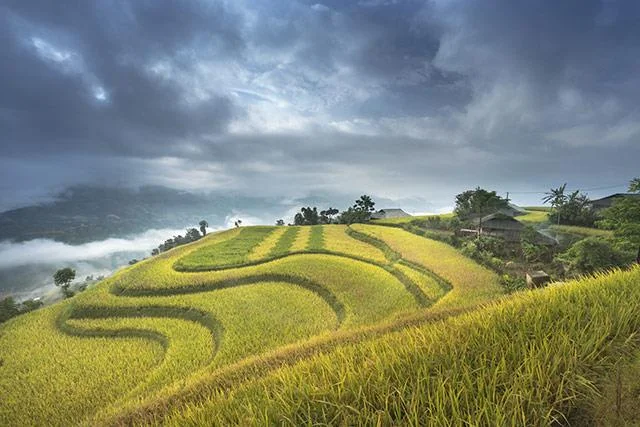 Kertas dinding padang teres yang cantik untuk komputer