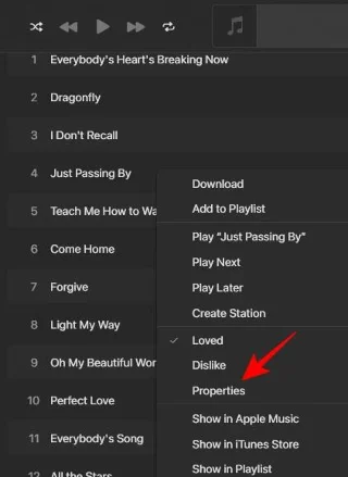 Bagaimana untuk menambah lirik pada Apple Music Windows