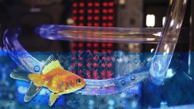 10 "bencana" komputer teratas dan cara menanganinya