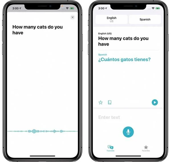 Cara menggunakan apl Terjemah baharu pada iPhone