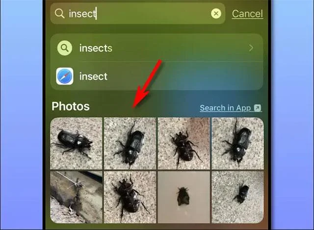 Bagaimana untuk menghalang imej daripada muncul dalam hasil carian Spotlight pada iPhone