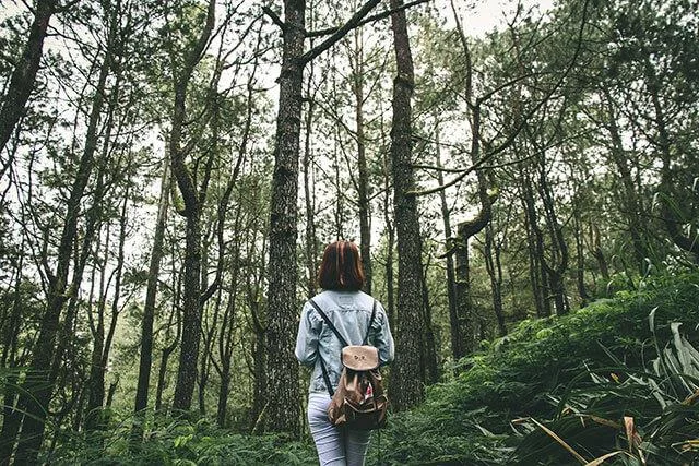 Kertas dinding beg galas, kertas dinding beg galas yang cantik untuk komputer