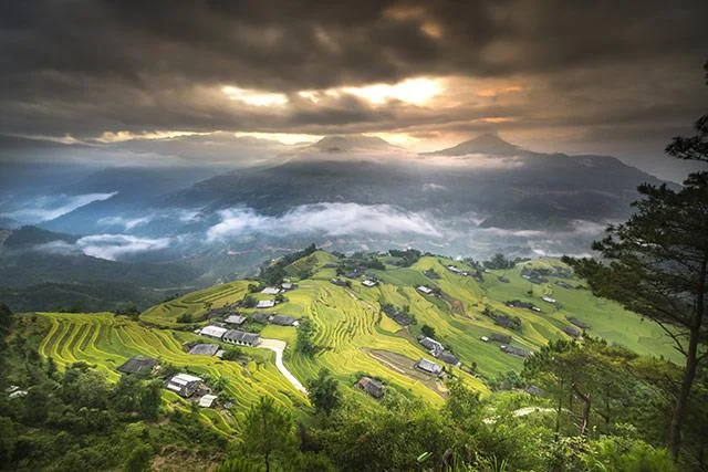 Kertas dinding padang teres yang cantik untuk komputer