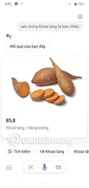Perintah Google Assistant Vietnam berguna yang boleh anda gunakan