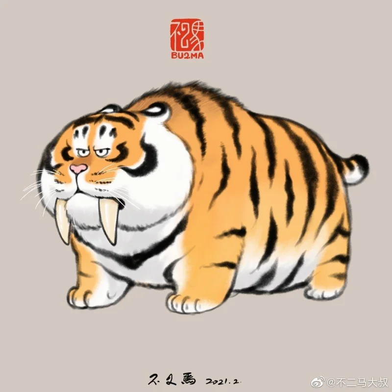 Sfondi di tigre grassa, foto carine di tigre grassa