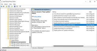 Hoe op te lossen De optie Pause Windows Updates is niet beschikbaar in Windows 11/10