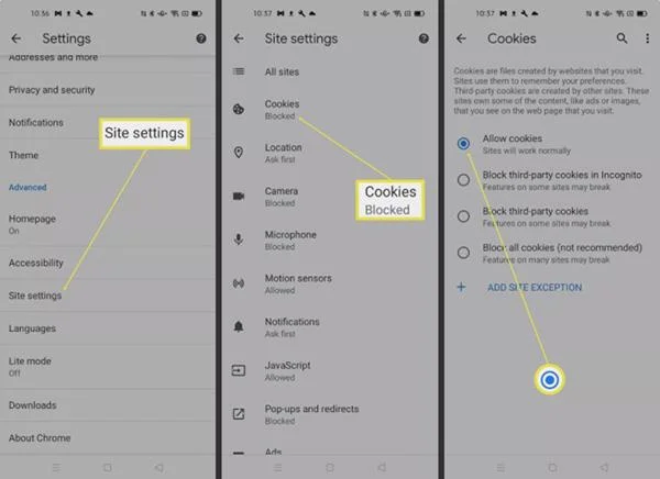 Bagaimana untuk mendayakan kuki pada telefon Android