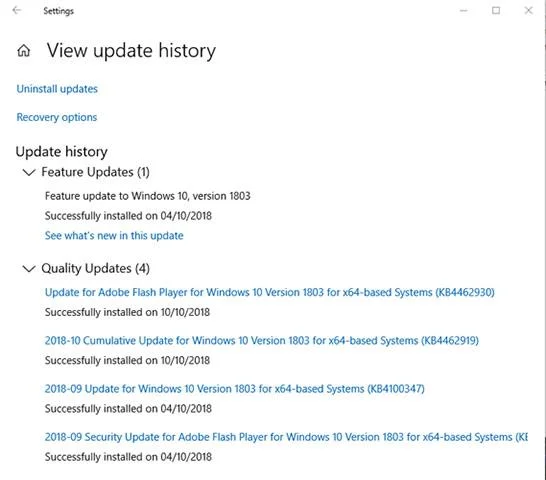 Ralat dalam kemas kini Windows 10 terkini dan cara membetulkannya (kemas kini berterusan)