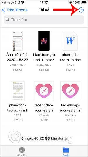 Bagaimana untuk mencari fail yang dimuat turun pada iPhone/iPad