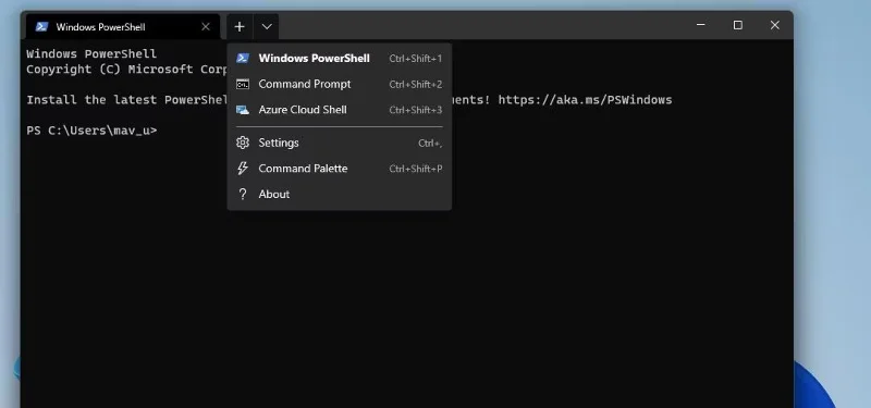 Windows 11'de Uzak Masaüstü Bağlantısı aracını açmanın 10 yolu