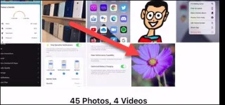 Cara menggunakan ciri pengenalan objek Visual Lookup pada iPhone