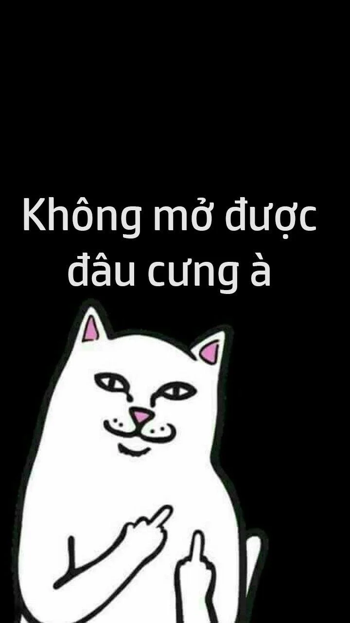 Dia meletakkan telefon saya, dia meletakkan telefon saya
