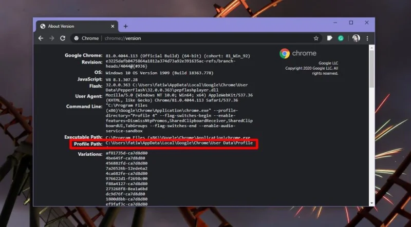 Como visualizar o cache do Chrome no Windows 10