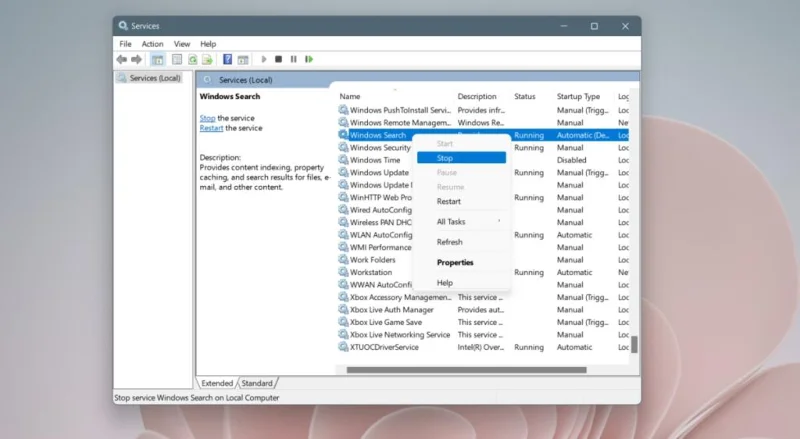 Windows 11de arama menüsü çalışmıyorsa ne yapmalı