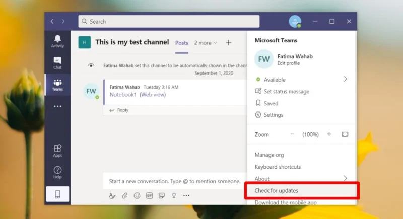 Chamadas do Microsoft Teams sem enfileiramento (CORRIGIDO)
