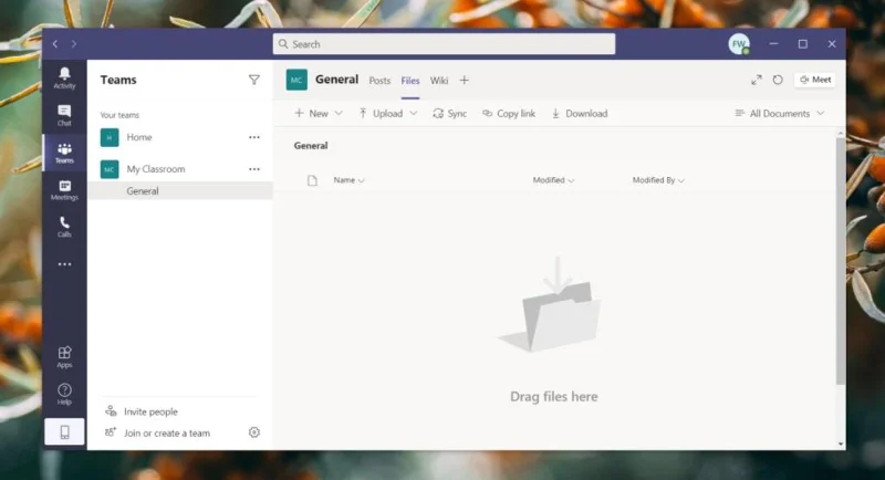 Os arquivos do Microsoft Teams não aparecem na pasta de arquivos [CORRIGIDO]