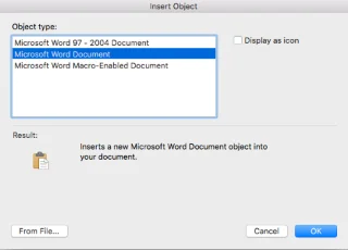 Word nesneleri bir Excel 2016/365/2019 çalışma kitabına nasıl gömülür?