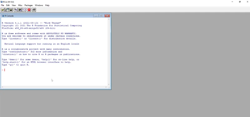 Pasang R LuckyTemplates: Memuat turun R Dan RStudio