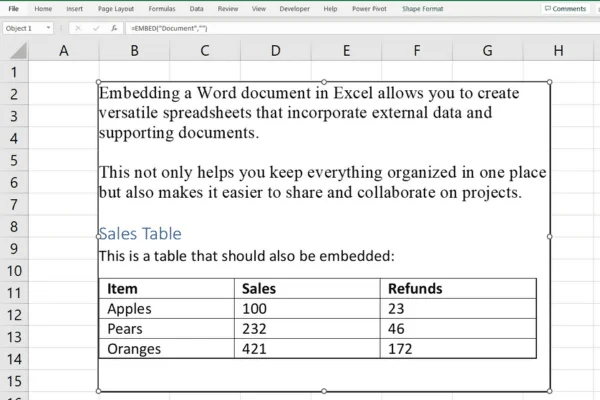 วิธีฝังเอกสาร Word ใน Excel: 3 วิธีง่ายๆ