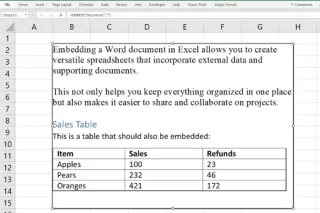Cara Membenamkan Dokumen Word Dalam Excel: 3 Cara Mudah