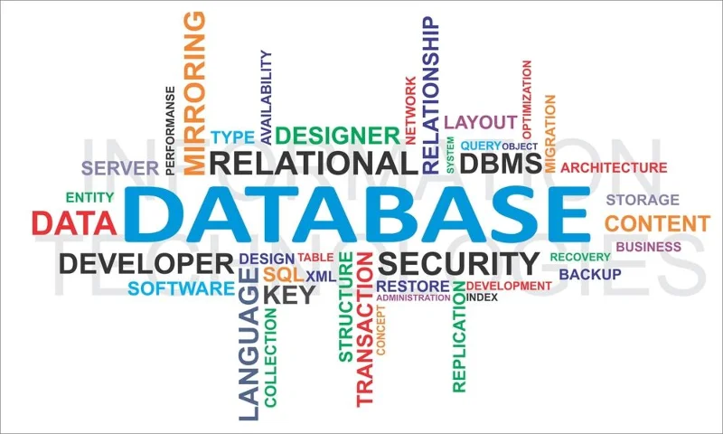 Untuk Apa SQL Digunakan?  7 Kegunaan Teratas