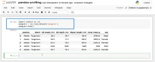 Set Data Dalam Panda Dengan ProfileReport() | Python Dalam LuckyTemplates