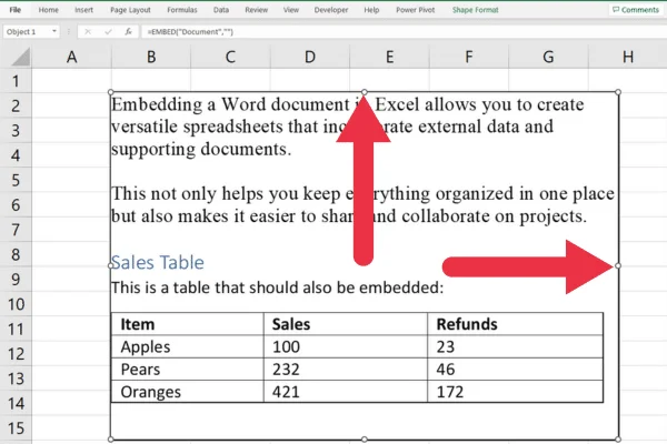 วิธีฝังเอกสาร Word ใน Excel: 3 วิธีง่ายๆ