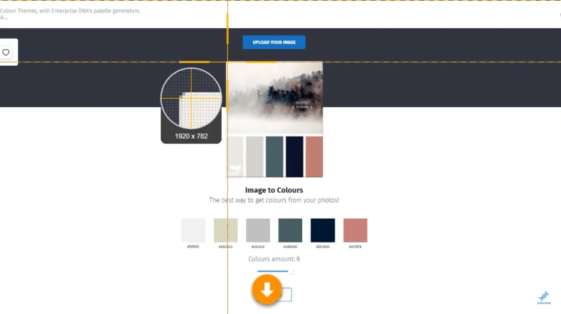 Élevez votre palette de couleurs via la communauté Analyst Hub