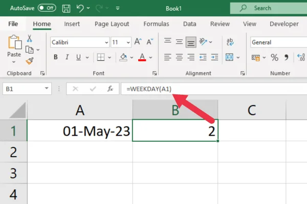 Cara Menggunakan Fungsi Hari Minggu Dalam Excel